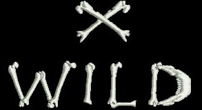 X-Wild logo