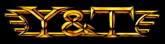 Y & T logo