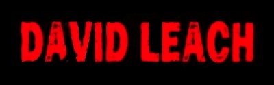 David Leach logo