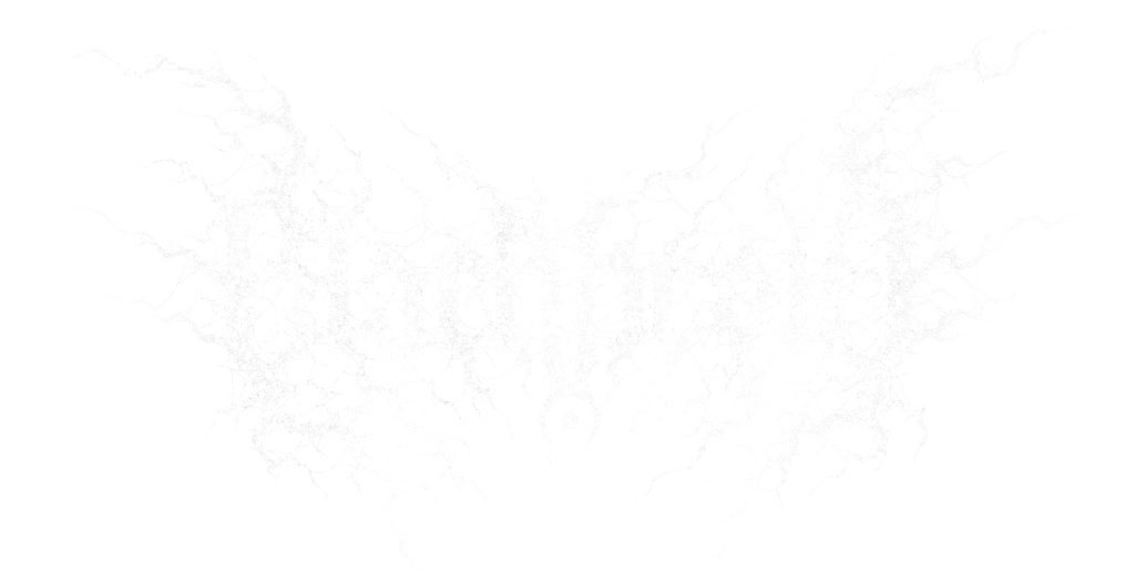 Blackbraid logo