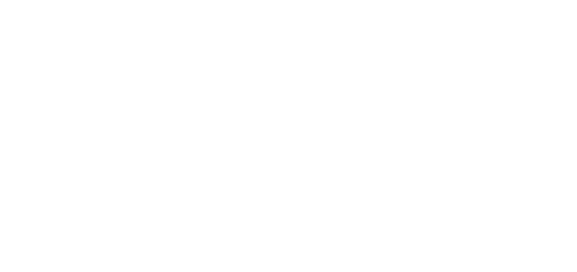 DumDum Boys logo