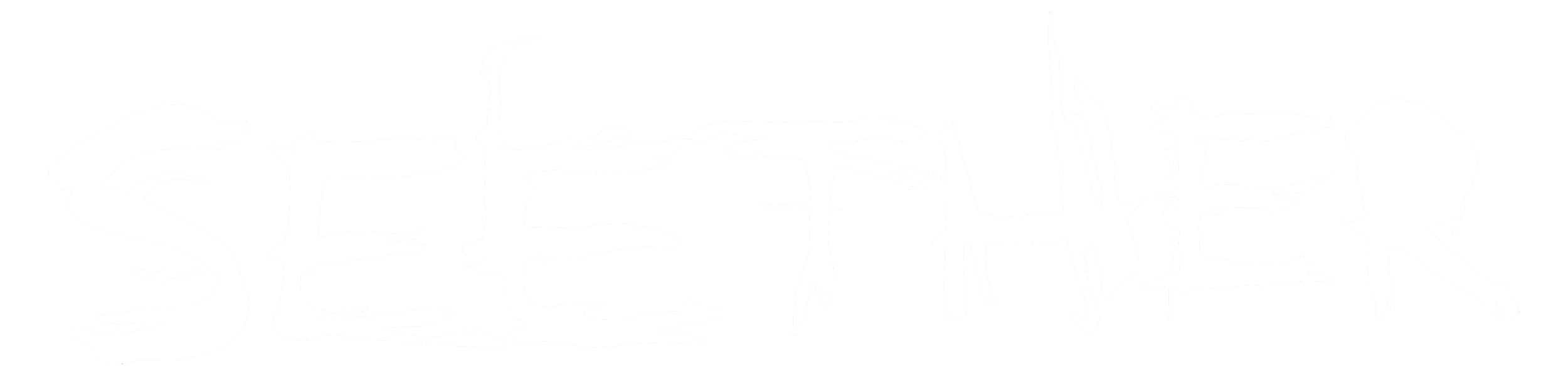 Seether logo