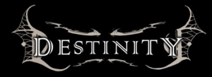 Destinity logo