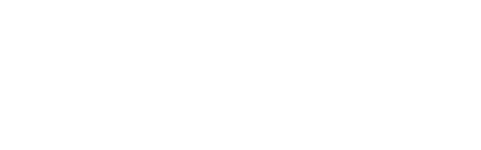 Nirvana logo