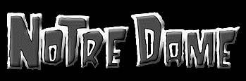 Notre Dame logo