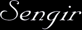 Sengir logo