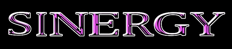 Sinergy logo