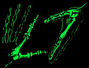 L7 logo