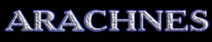 Arachnes logo