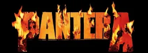 Pantera logo