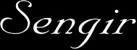 Sengir logo