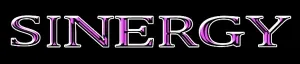 Sinergy logo