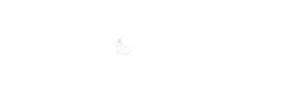 M & O Music logo