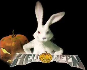 Rabbit don't come easy
