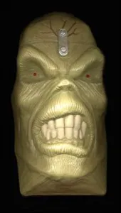 The head