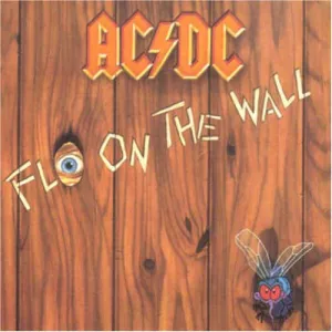 Fly on the wall