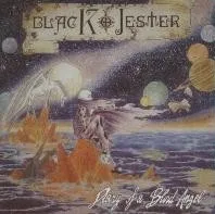 Diary of a blind angel