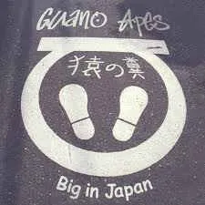 Big In Japan
