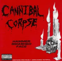 Hammer smashed face