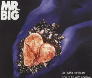 Just Take My Heart