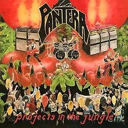Projects In The Jungle