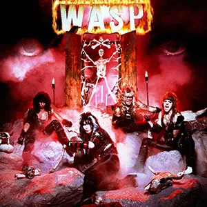 Wasp