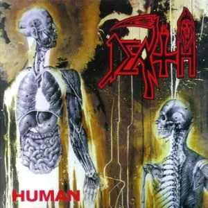 Human