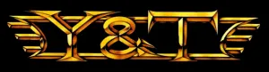Y & T logo