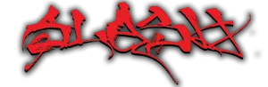 Slash logo