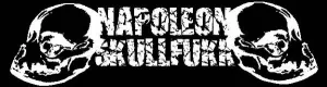 Napoleon Skullfukk logo