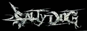 Salty Dog logo