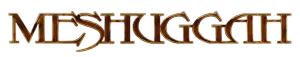 Meshuggah logo