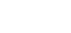 DumDum Boys logo
