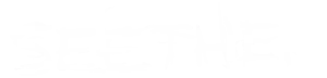 Seether logo