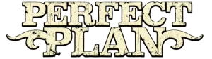 Perfect Plan logo