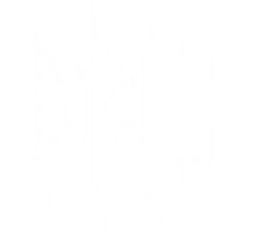 Iotunn logo